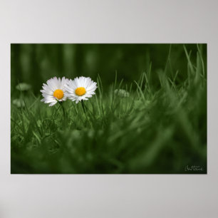 Dig och I tillsammans Poster
