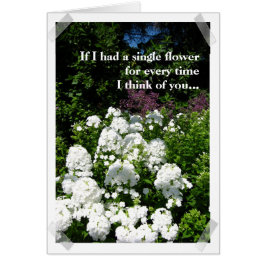 Dig smink trädgården av mitt livkort OBS kort