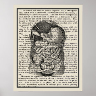 Digestive System Anatomy Art Skriv ut #1 Poster