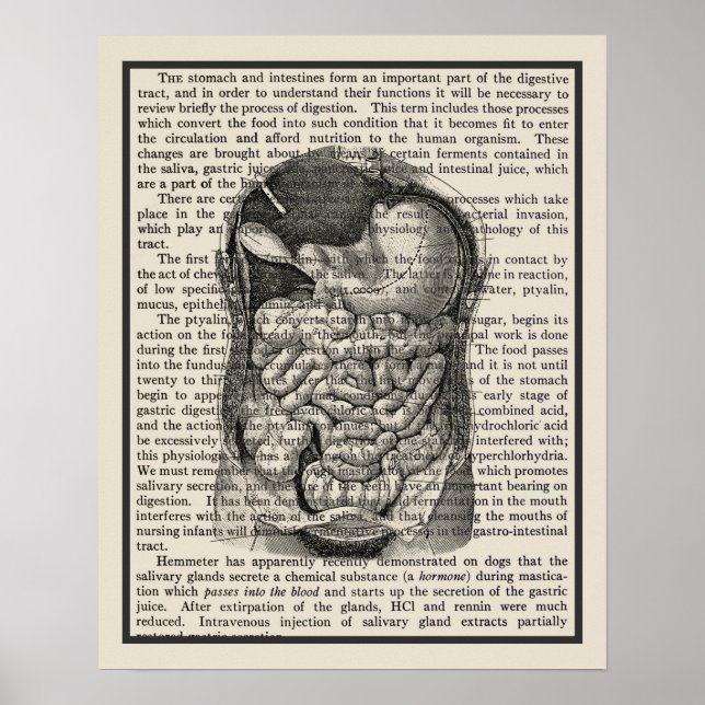 Digestive System Anatomy Art Skriv ut nr 1 Poster (Framsidan)