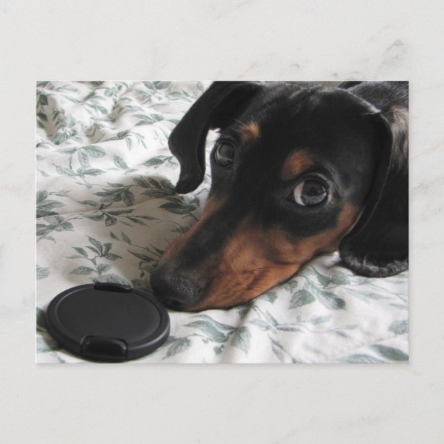 Digger Strejka a Pose Vykort (Framsida)