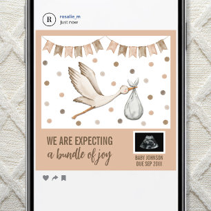 Digital Boho Stork Könsneutralt Ultraljud Meddelande