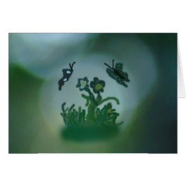 Digital Butterfly Dreamin' OBS Kort