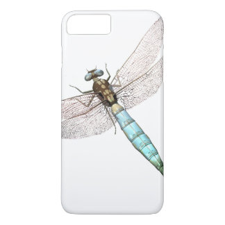 Digital Dragonfly på White