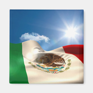 Digital frambragt skvalpa för Mexico flagga Magnet
