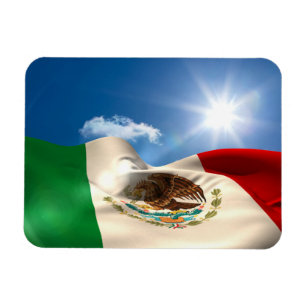 Digital frambragt skvalpa för Mexico flagga Magnet