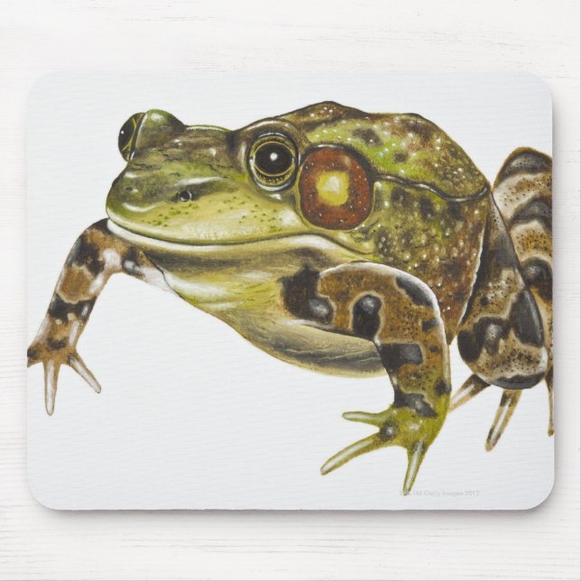 Digital illustration av Grönt Frog Musmatta (Framsidan)