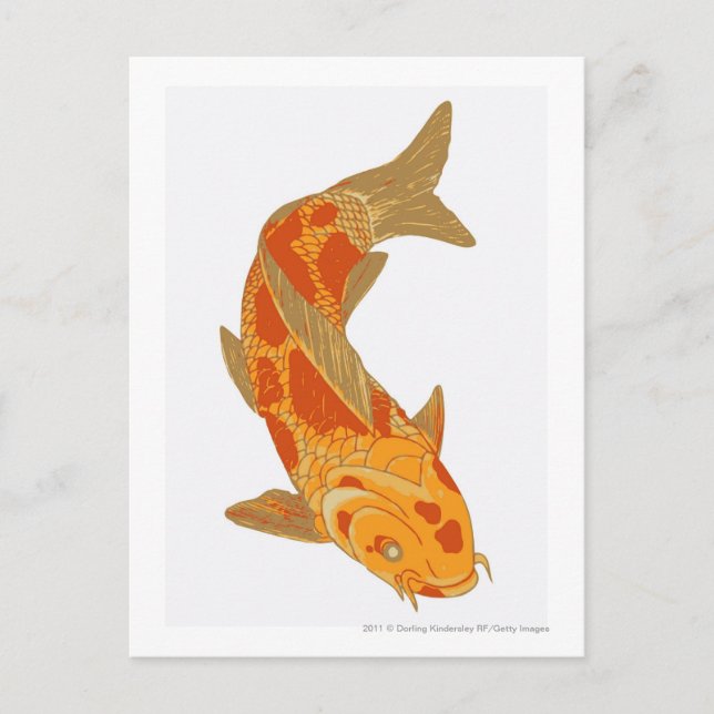 Digital illustration av Koi Carp Vykort (Framsida)