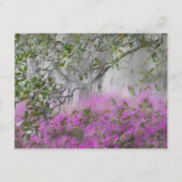 Digital komposition av azaleor och magnoliaträd