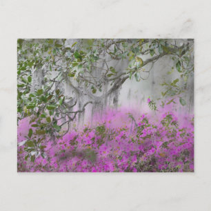 Digital komposition av azaleor och magnoliaträd vykort