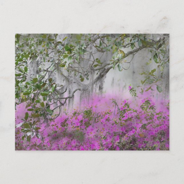 Digital komposition av azaleor och magnoliaträd vykort (Framsida)