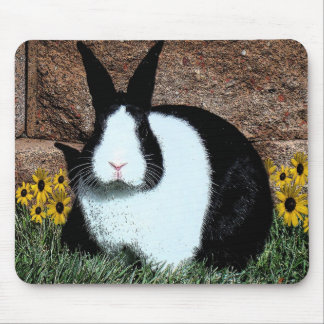 Digital konstverkmousepad för holländsk kanin musmatta