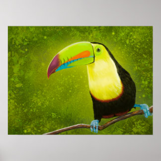 Digital målning Tropical Jungle Toucan Bird Poster