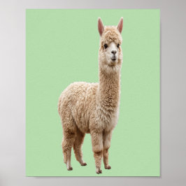 Digital nedladdning | Söt Alpaca Sagegrön Foto Poster