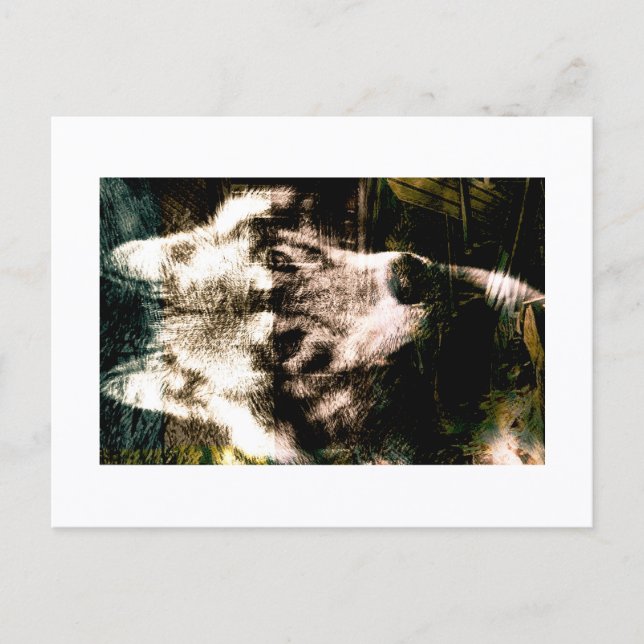Digital Remix Art : Wolf Postcard Print by JHT Vykort (Framsida)