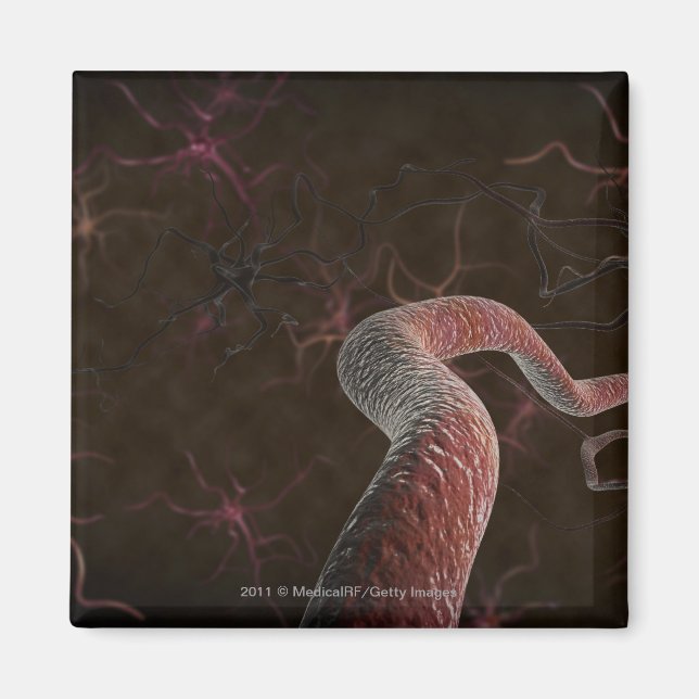 Digital rendering av neuroner magnet (Framsidan)