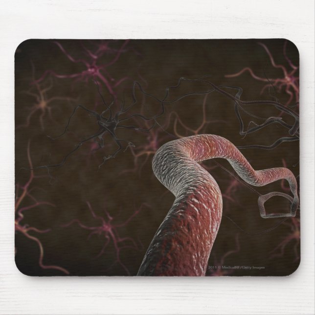 Digital tolkning av neurons musmatta (Framsidan)