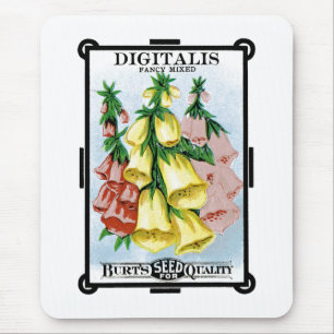 Digitalis Seed Packet Label Musmatta