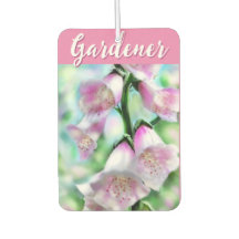 Digitalisblommor Blommig Rosa Trädgård Personlig