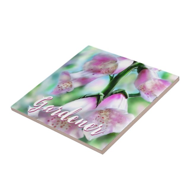 Digitalisblommor Blommig Rosa Trädgård Personlig Kakelplatta (Sidan)