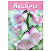 Digitaliserade Fingerborgsblommor Blommig Rosa Trä