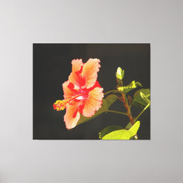 Digitalt Embossed Hibiscus, Brendas blomma Canvastryck