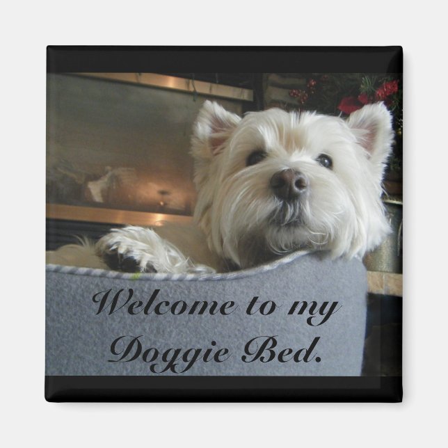 Dignified Westie Photo Magnet (Framsidan)