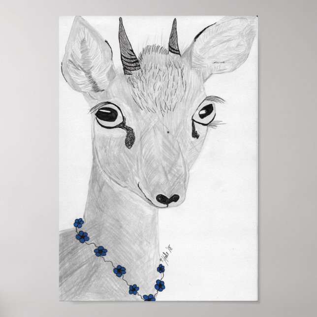 Dik- Dik Poster (Framsidan)