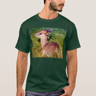 DikDik Tröja