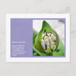 Dikt för ett nytt liv vykort