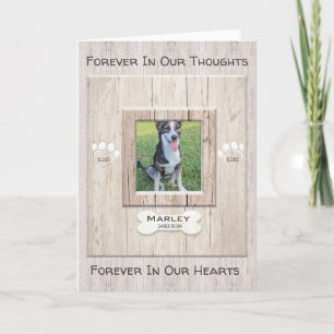 Dikt för hund Memorial Rainbow Bridge-kort Kort