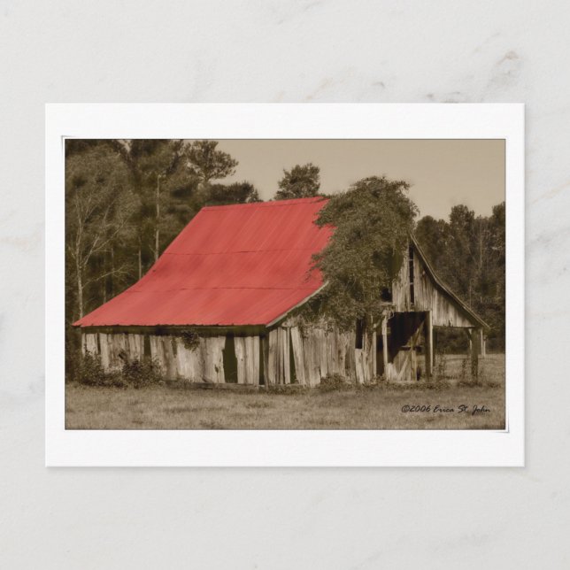 Dilapidated Red-Roofed Barn Postcard Vykort (Framsida)