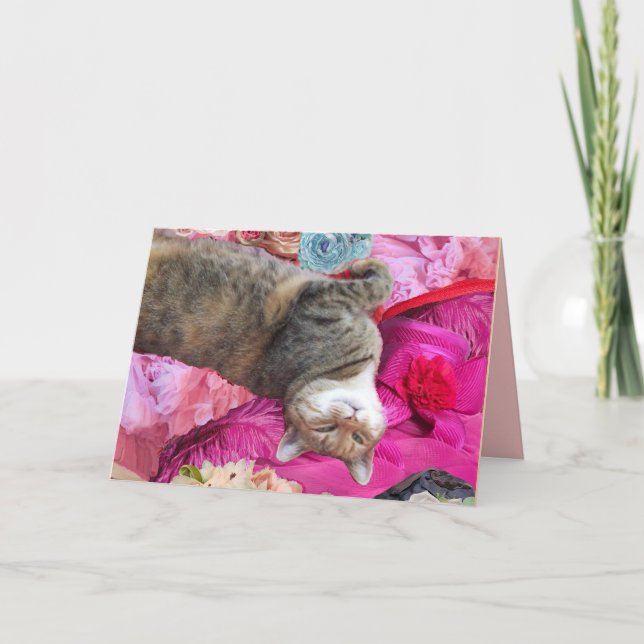 Dilemma för prinsessan Tatus katt Kort (Framsida)