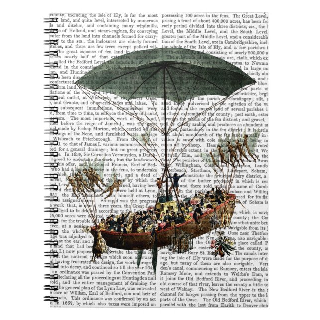 Diligenza och flugor anteckningsbok med spiral (Framsidan)