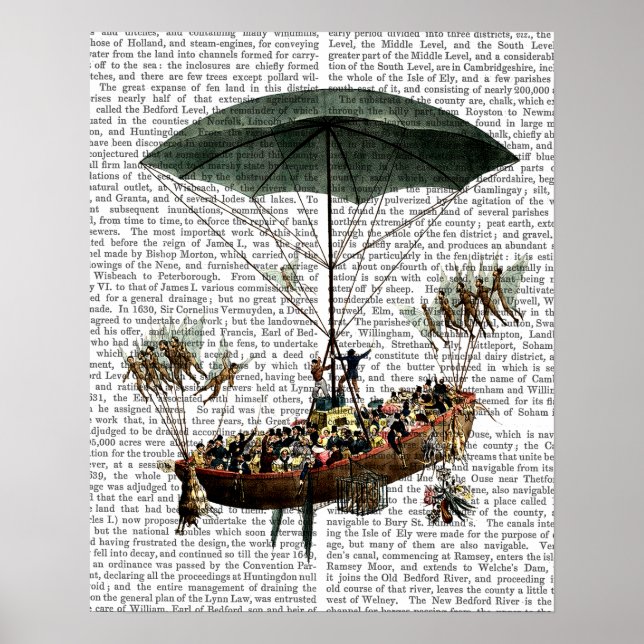 Diligenza och flugor poster (Framsidan)