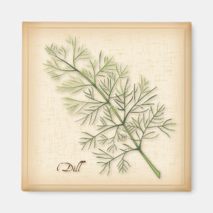 Dill Herb, Dill Ogräs Magnet