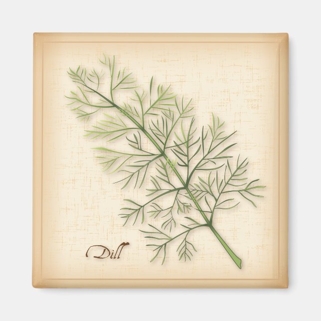 Dill Herb, Dill Ogräs Magnet (Framsidan)