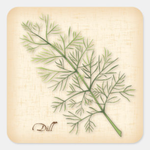 Dill Herb Fyrkantigt Klistermärke