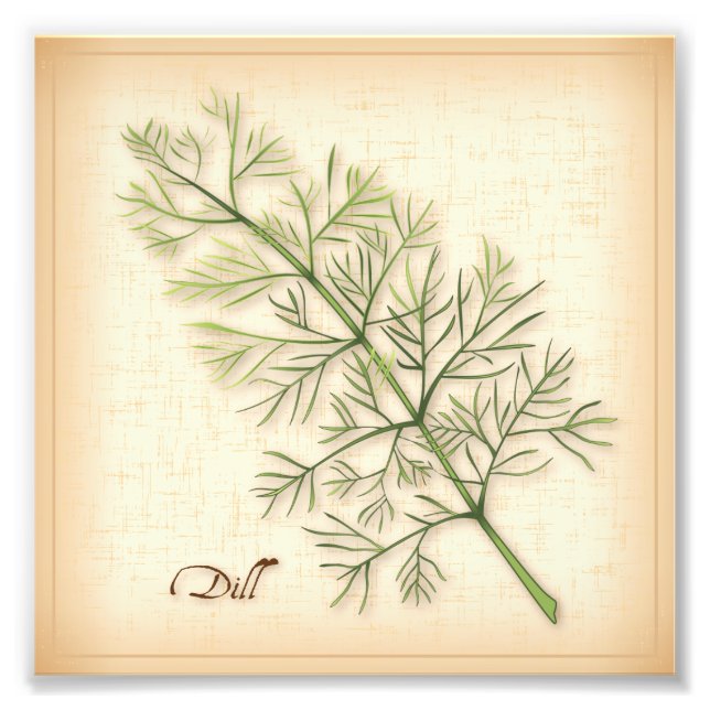 Dill Herb Photo Print Fototryck (Framsidan)