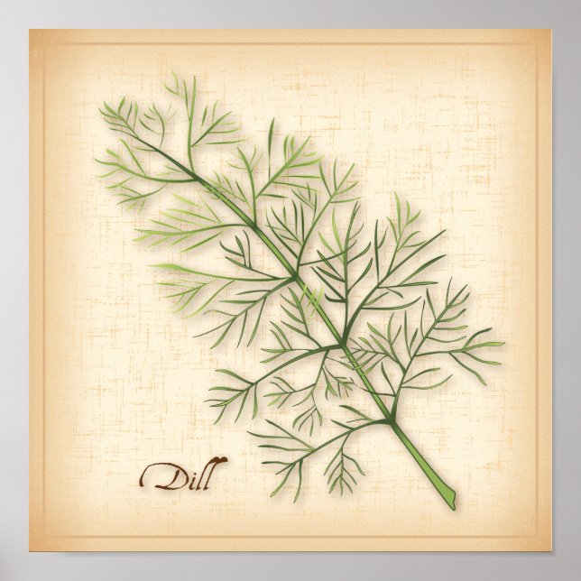 Dill Herb Poster (Framsidan)