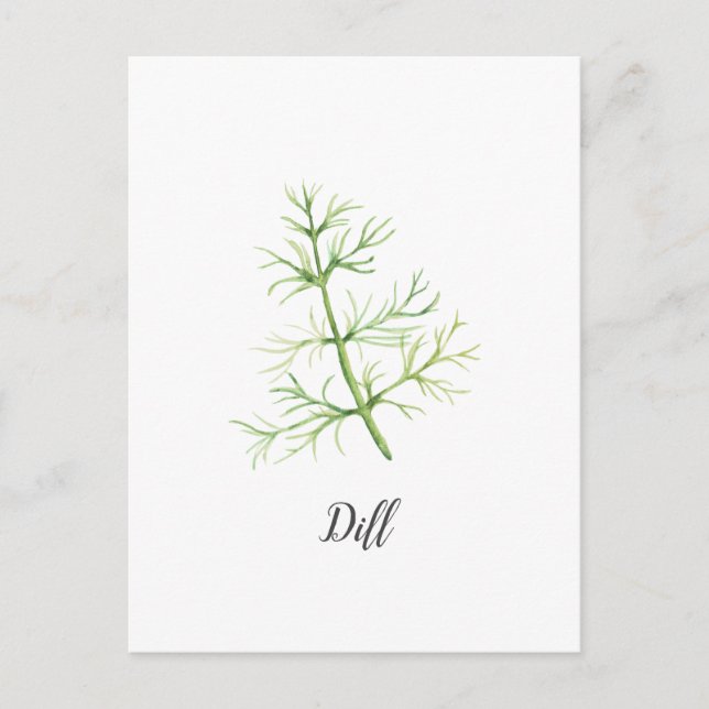 Dill Herb Watercolor Illustration Vykort (Framsida)