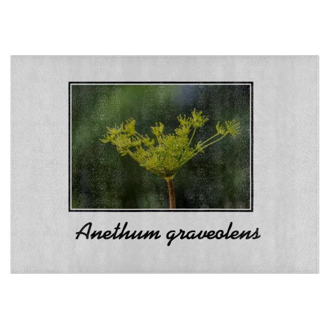 Dill ogräs delight (Framsidan)