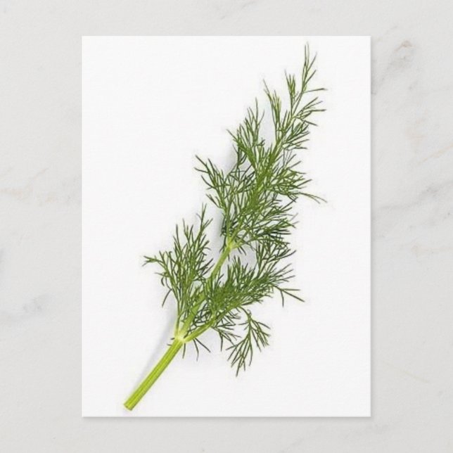 Dill Ogräs Vykort (Framsida)
