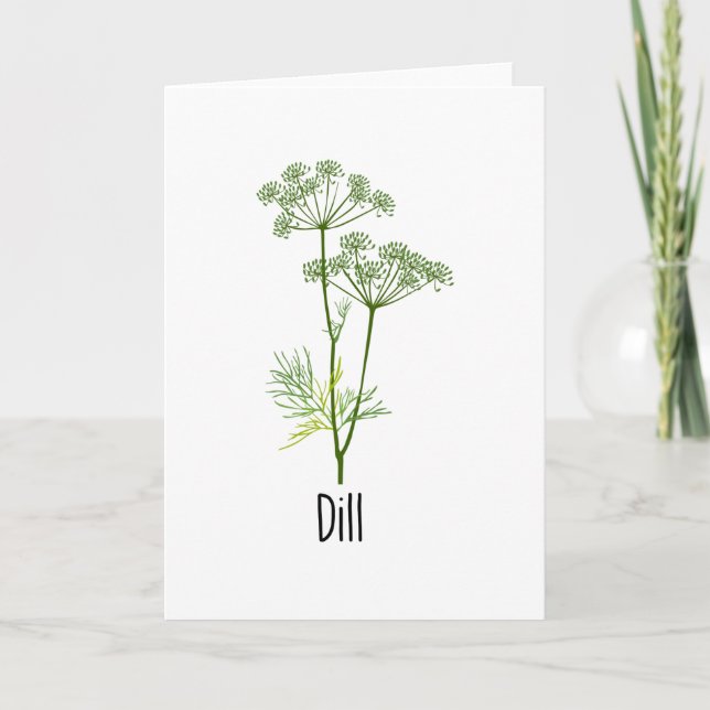 Dill Spices Herb Kort (Framsida)