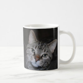 Dillan Cat Mugg