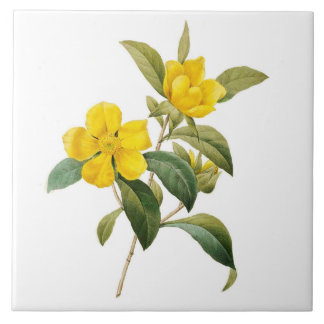 Dillenia Kakelplatta