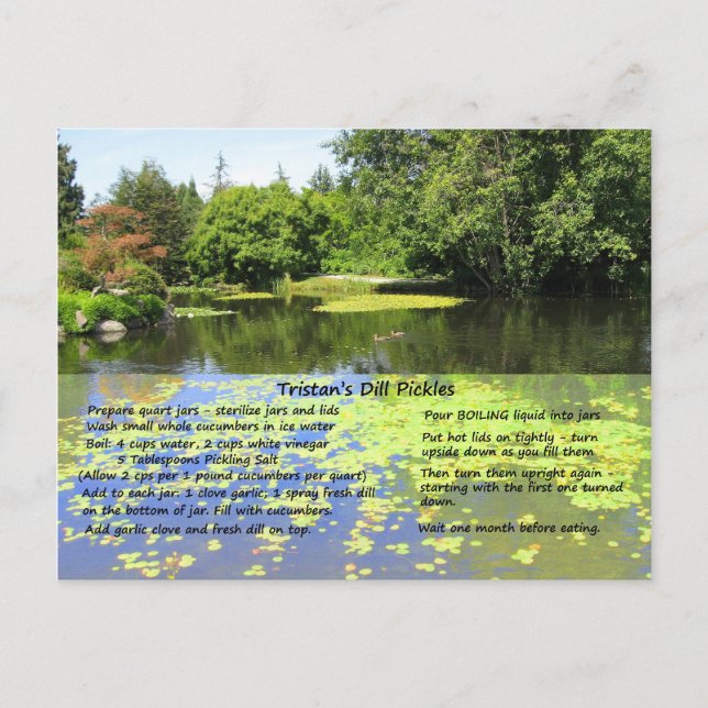 Dillpickle-recept vykort (Framsida)
