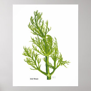 Dillposter Poster