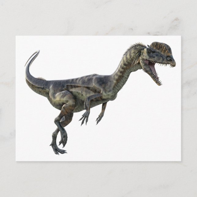 DilophosaurusDinosaur Vykort (Framsida)