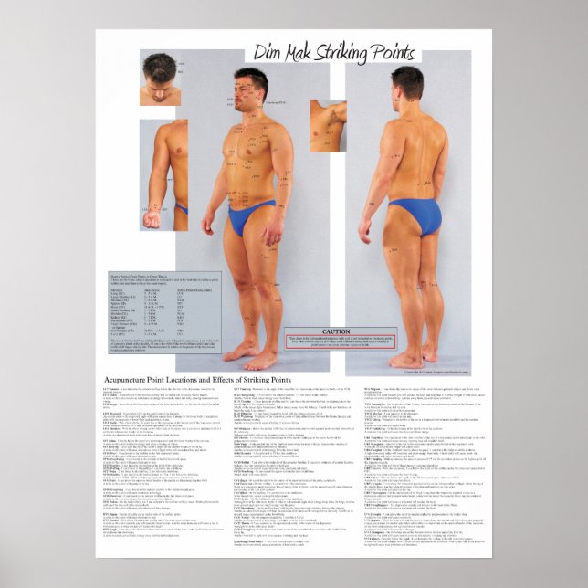 Dim Mak Dödsstrejkställen Poster 18 x 24 (Framsidan)